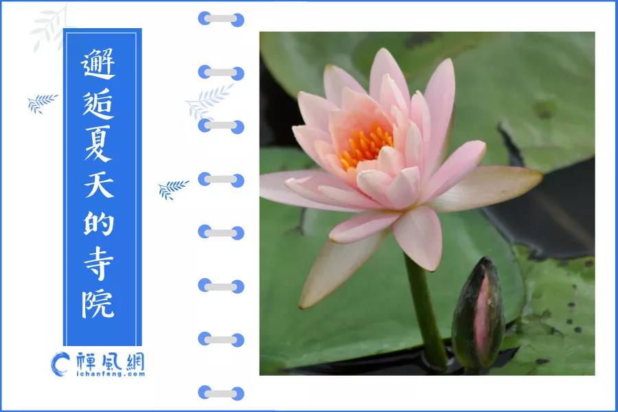 ​盛夏禅游攻略！在夏天和寺院来一次圆满的邂逅