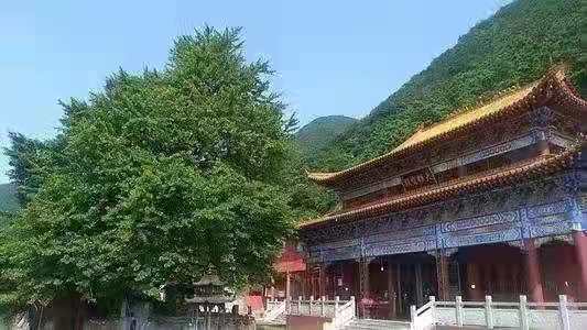 圣辉长老在救灾途中专赴凉山登岚寺考察调研