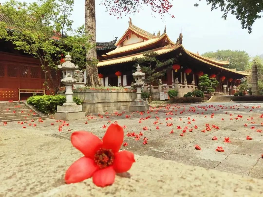 寺院故事｜光孝寺：从王家园林到名家书院，再到祇园佛寺