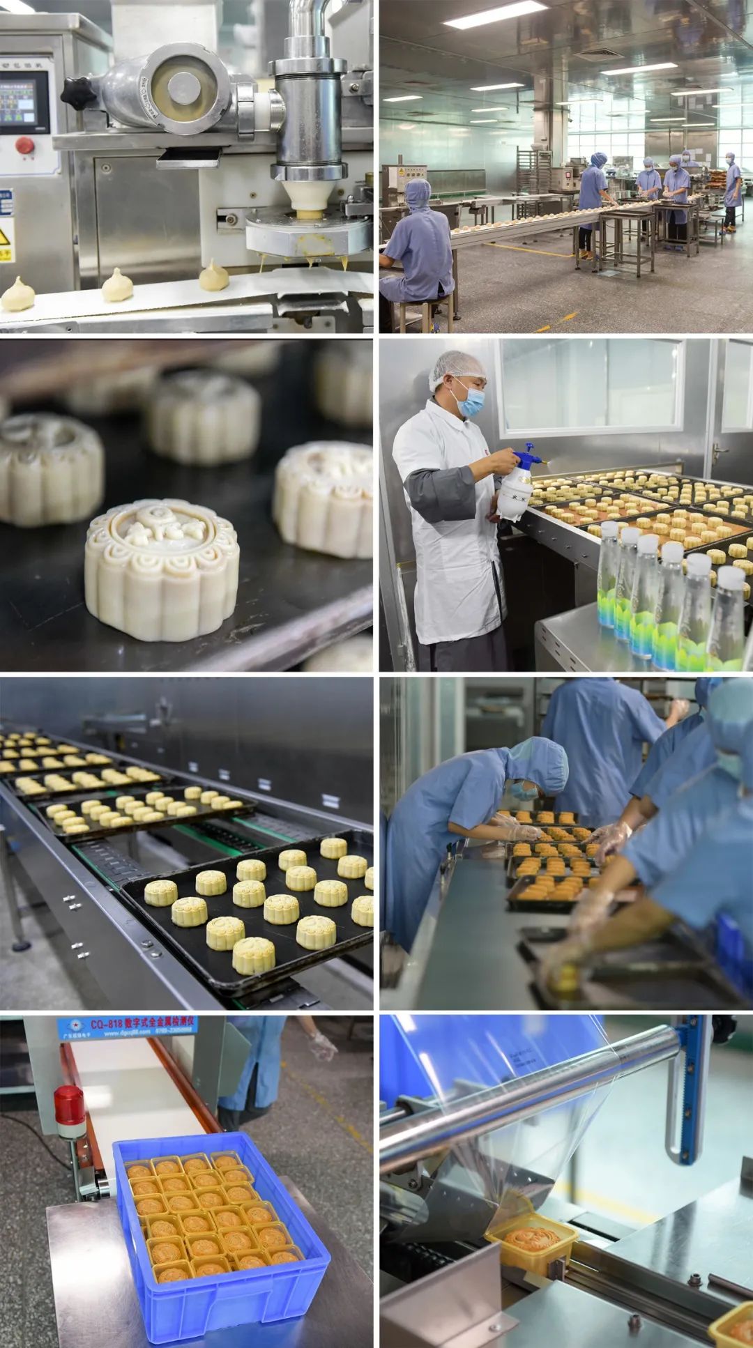 寺院月饼 | 舌尖上的禅意——珠海普陀寺推出菩提素饼，与您相约中秋
