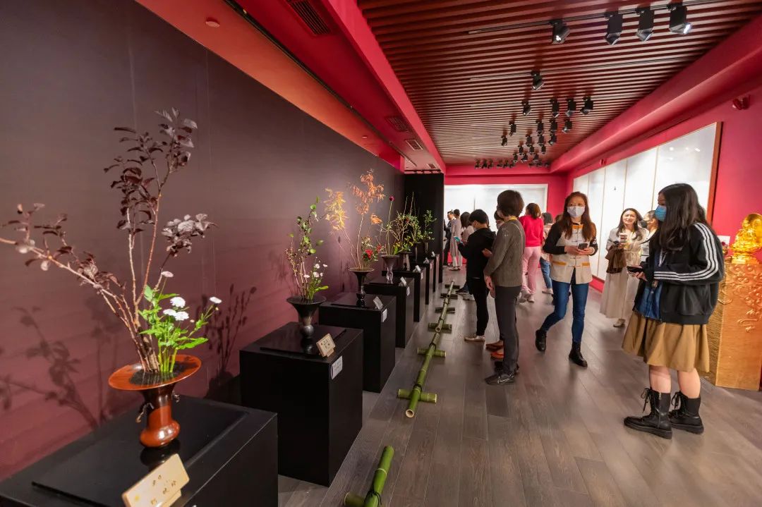 “空华水月·玉佛印心”玉佛禅寺·华道家元池坊作品展圆满开幕！