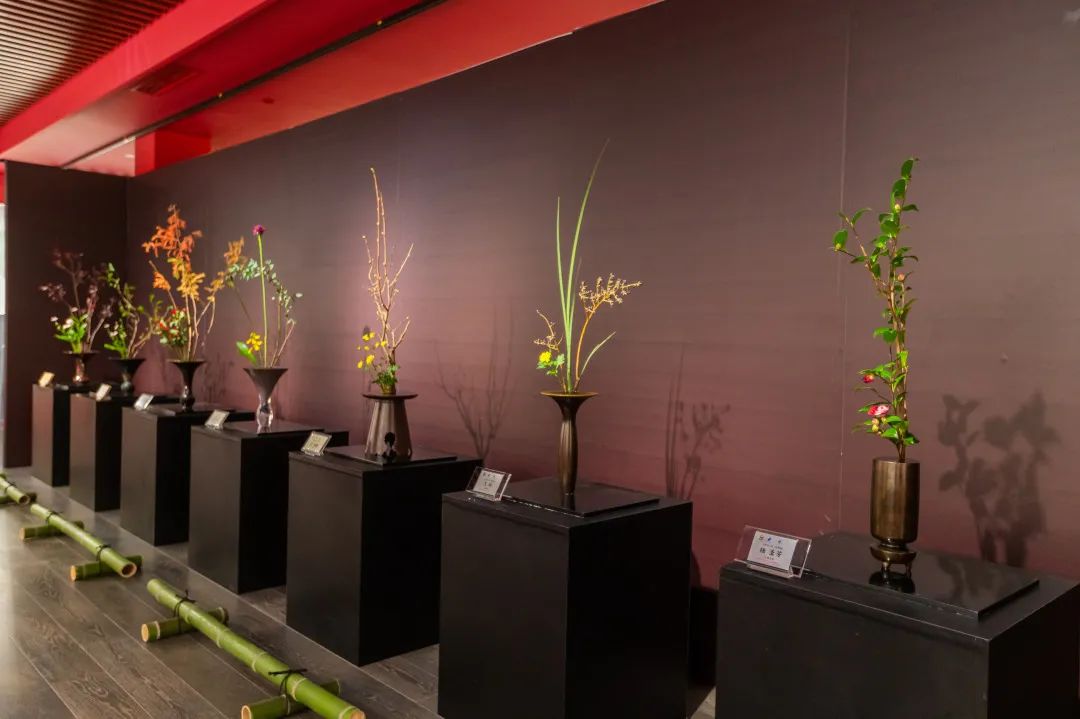 “空华水月·玉佛印心”玉佛禅寺·华道家元池坊作品展圆满开幕！