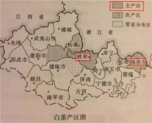 拷问白茶:get 这几招,能解决90%与白茶有关的问题!