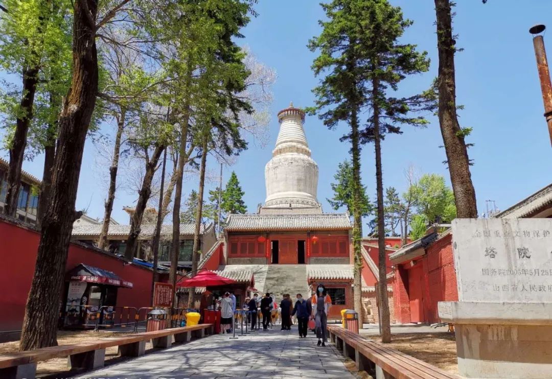 圣境资讯 | 五台山各寺院有序恢复开放，喜迎八方游客