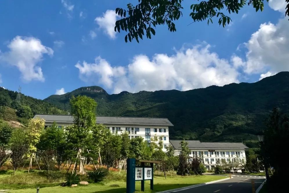双轨道多平台办学！浙江佛学院(总部)发布2020年秋季招生简章