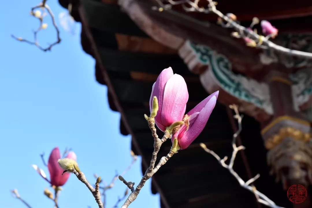 共克时艰，抗击疫情，我们一起努力