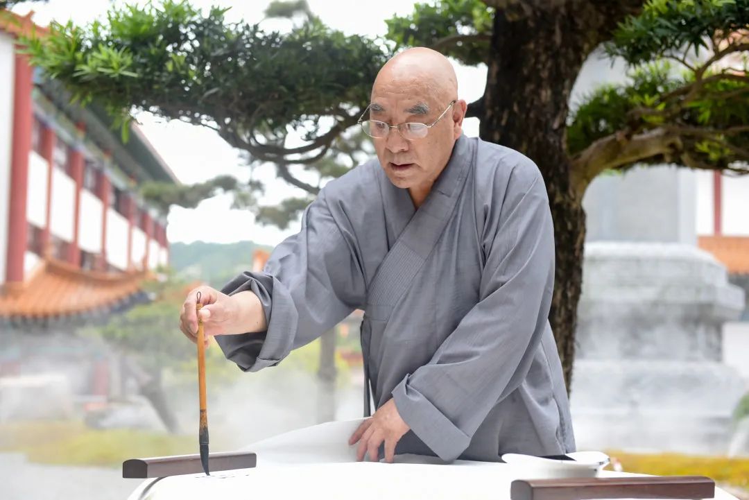 普陀文化 | 书道禅心 菩提一叶