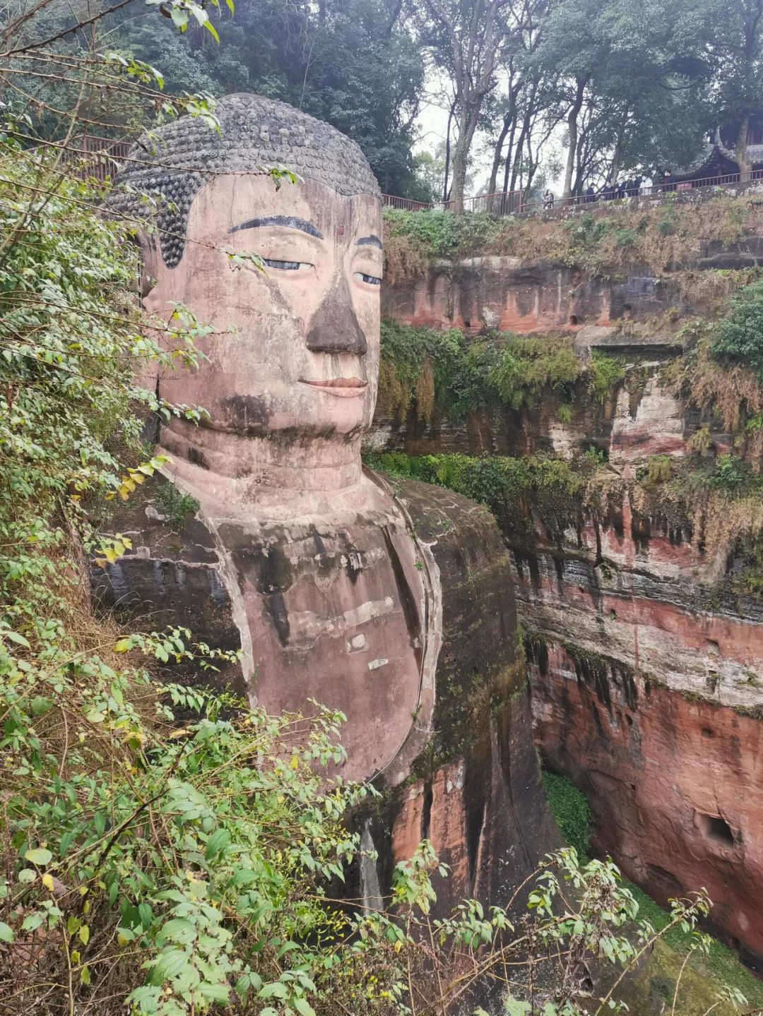 又出现“脸花鼻黑”！乐山大佛究竟怎么了？