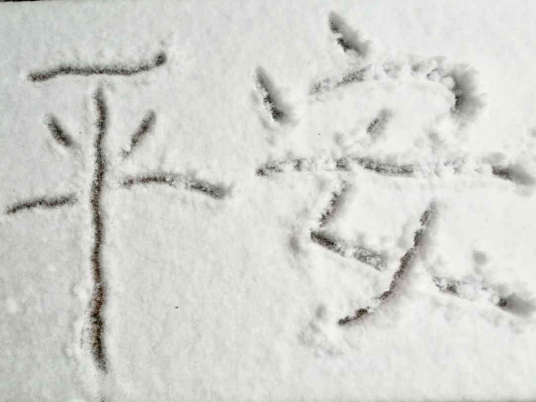 正慈法师“湖北加油”日记系列十：希望这场梦早点醒过来（2月14日至16日）