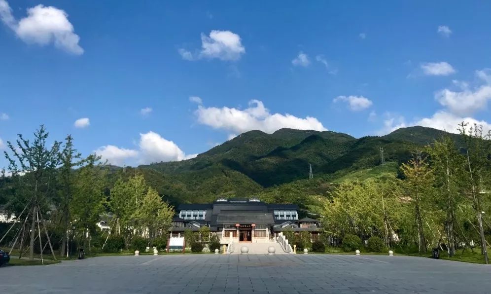 双轨道多平台办学！浙江佛学院(总部)发布2020年秋季招生简章