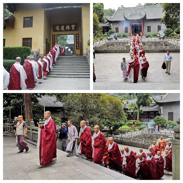 韩国曹洞宗参访团到南华禅寺交流学习 传正大和尚亲自接待