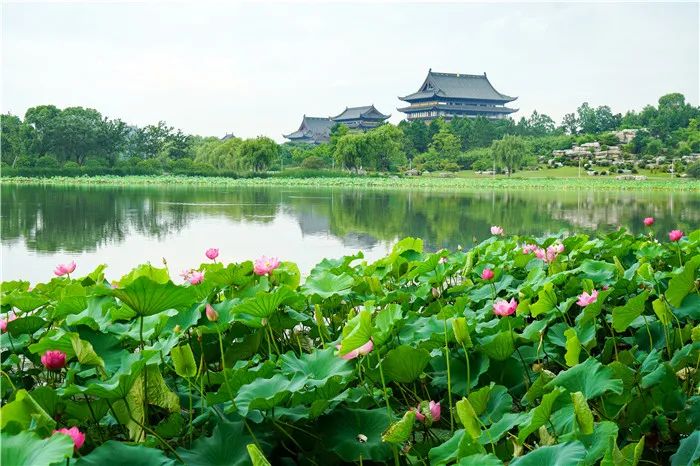 江苏佛学院寒山学院天台班招生简章