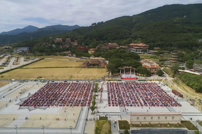 广化动态|第三届南山素食文化节圆满结束