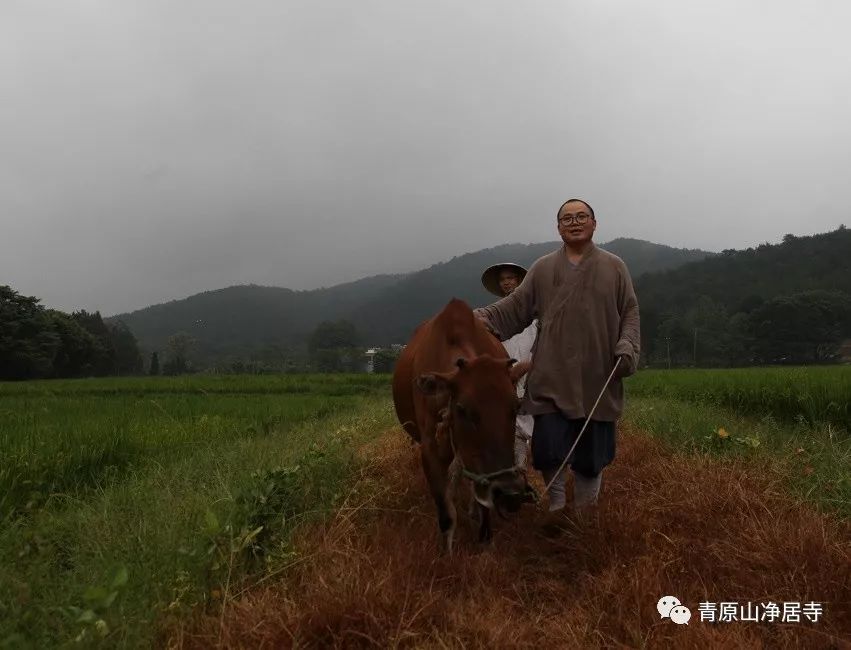 青原山净居寺举行追思缅怀体光老和尚圆寂十五周年纪念系列活动