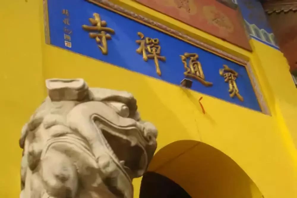 刺血抄写19卷佛经，是什么愿力成就了本焕长老？