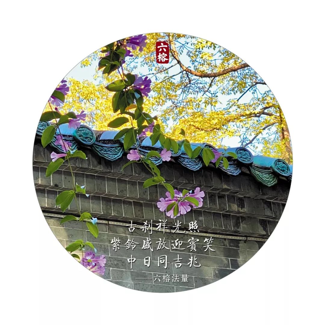 友谊花开，历久弥香——日本阿含宗代表团时隔22年再次访问六榕寺