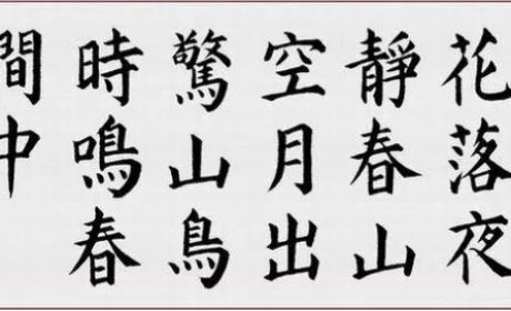 素食者是新时代的怪咖吗？从古到今许多名人爱素食