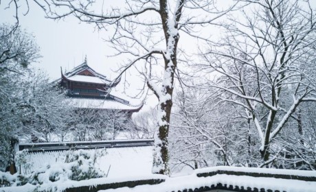 美图集｜雪后的杭州灵隐寺 带你走进白与空的世界