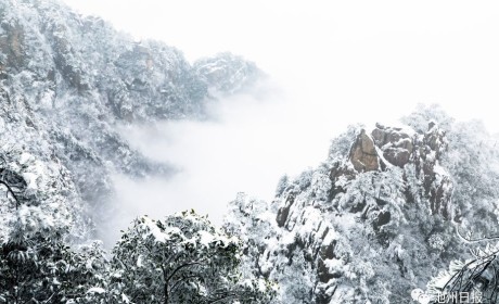 来看美景 | 一场雪，九华山成了水墨画，童话一般……