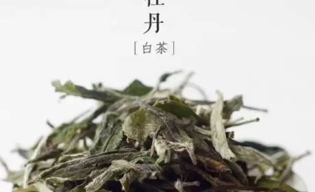 白牡丹丨安利！牡丹花变成的茶，喝起来都是花香扑鼻！