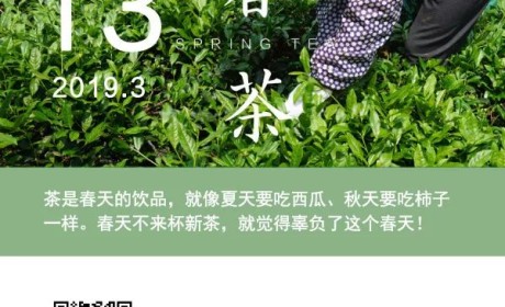 春茶地图丨一壶春茶满城香，这几款新茶带你寻找江南味道