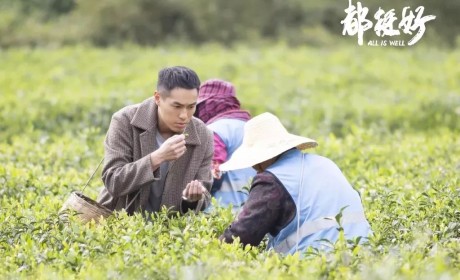 春茶正当时丨就连姚晨都跑到茶园采茶品茶了，这挺好