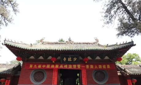 少林寺除了功夫还开药局？800多年的佛医传承早已救人无数