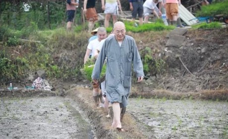 土地上的修行道场！现代农禅生活能给人哪些启示？