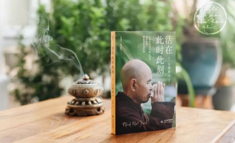 《时代》周刊上的僧人：将正念带给全世界的一行禅师为何放弃治疗?