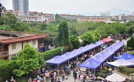 中元节临近  厦门南普陀寺提倡文明祭祀