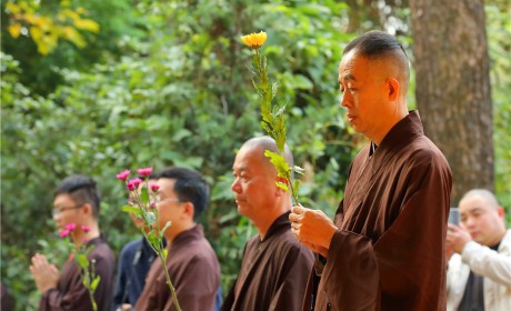 桐柏山清泉禅寺印生法师关期圆满 云门寺方丈明向大和尚主持出关仪式