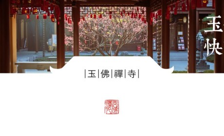 从十方来，到一线去！上海玉佛禅寺从海外筹集的第二批医疗物资凌晨抵沪