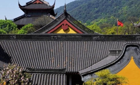 杭州佛教寺院：从紧急双暂停到安全有序开放