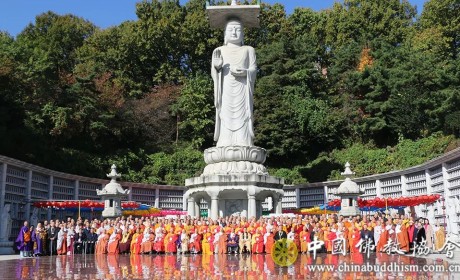 中国佛教代表团赴韩出席第23次中韩日佛教友好交流会议